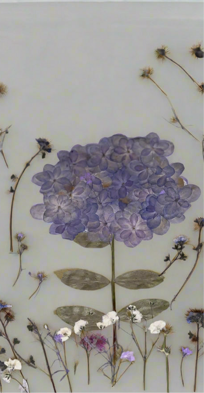 12" x 12" Floating Pressed Florals- Acrylic Panel Display