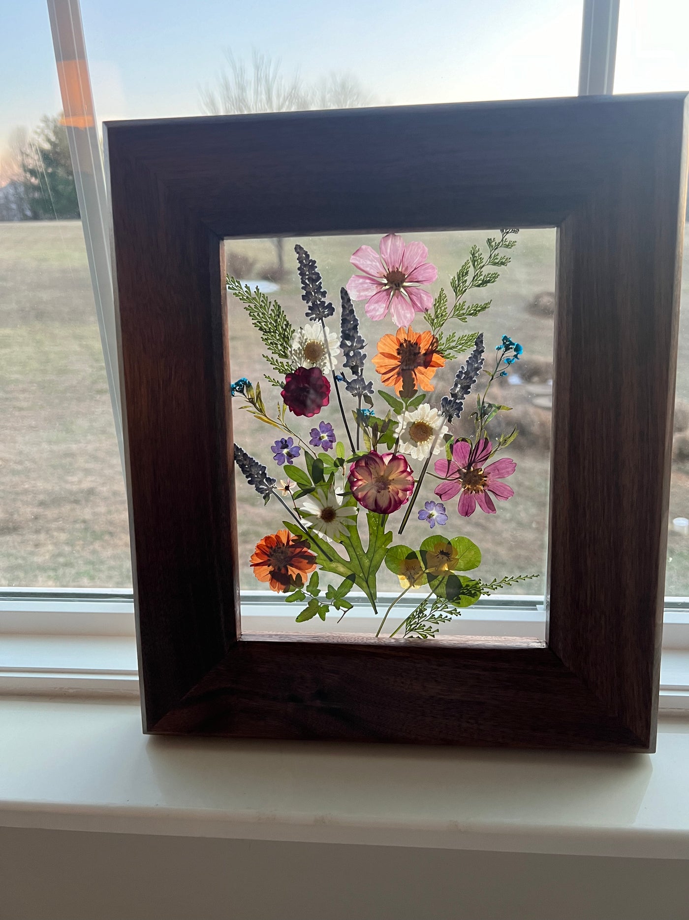 Floating Mixed Wild Flowers in Custom Walnut Frame - 11 3/4" x 14"