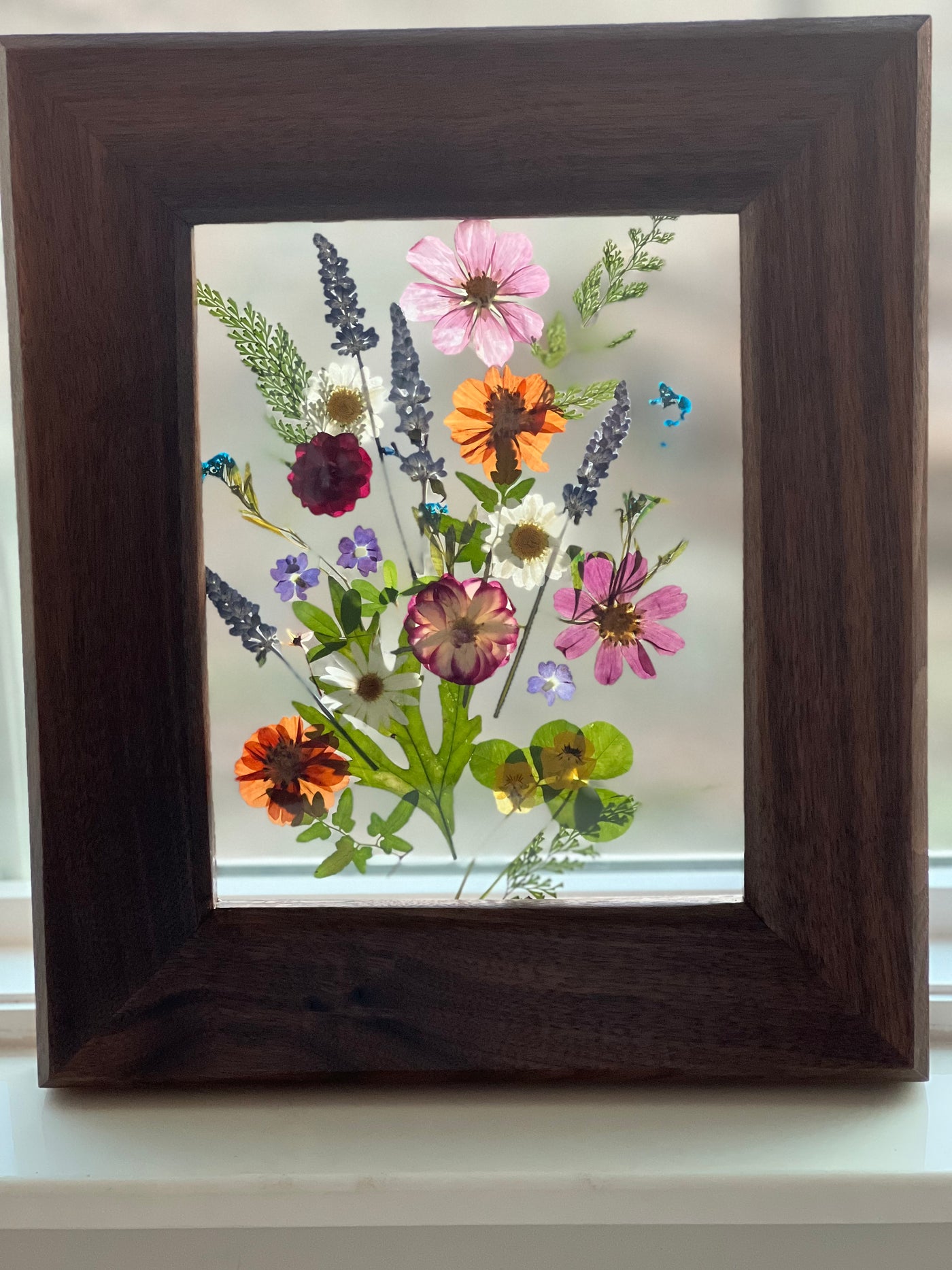 Floating Mixed Wild Flowers in Custom Walnut Frame - 11 3/4" x 14"