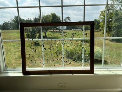 24" x 36" Floating Florals in  Custom Made Walnut Frame