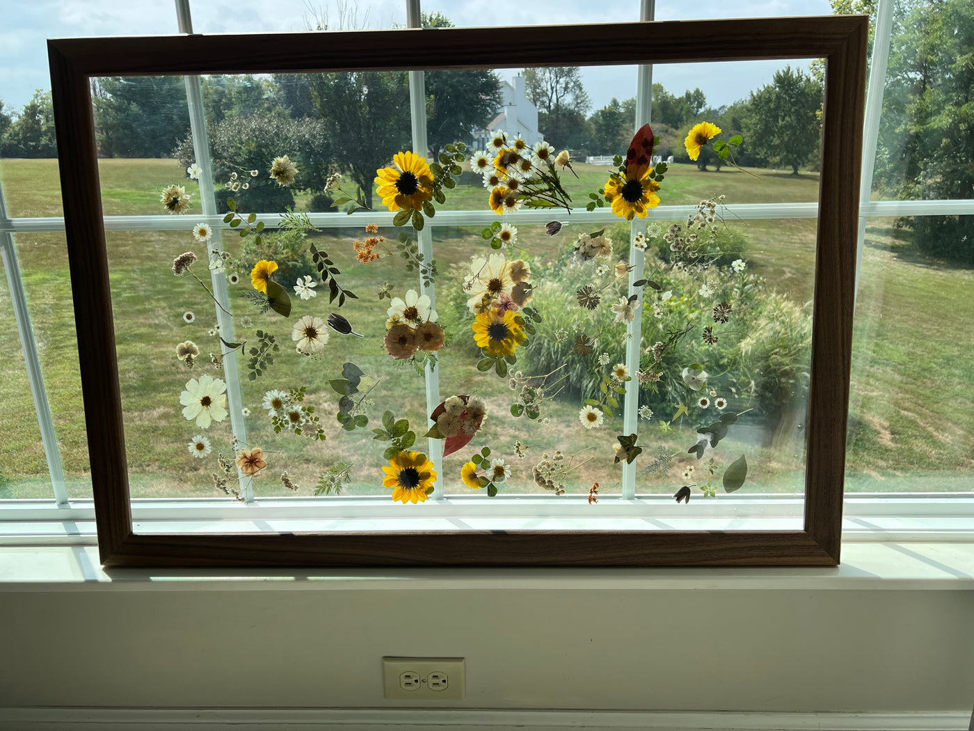 24" x 36" Floating Florals in  Custom Made Walnut Frame