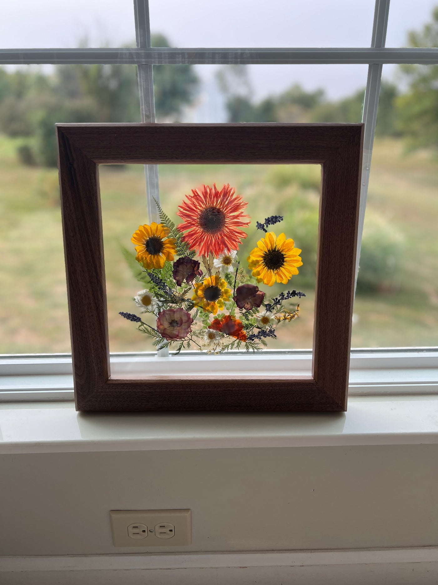 12"x 12" Floating Florals in Custom Made Walnut Frame