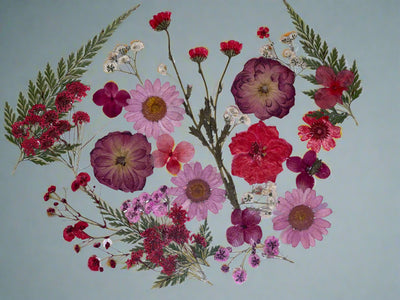 12" x 12" Floating Pressed Florals- Acrylic Panel Display