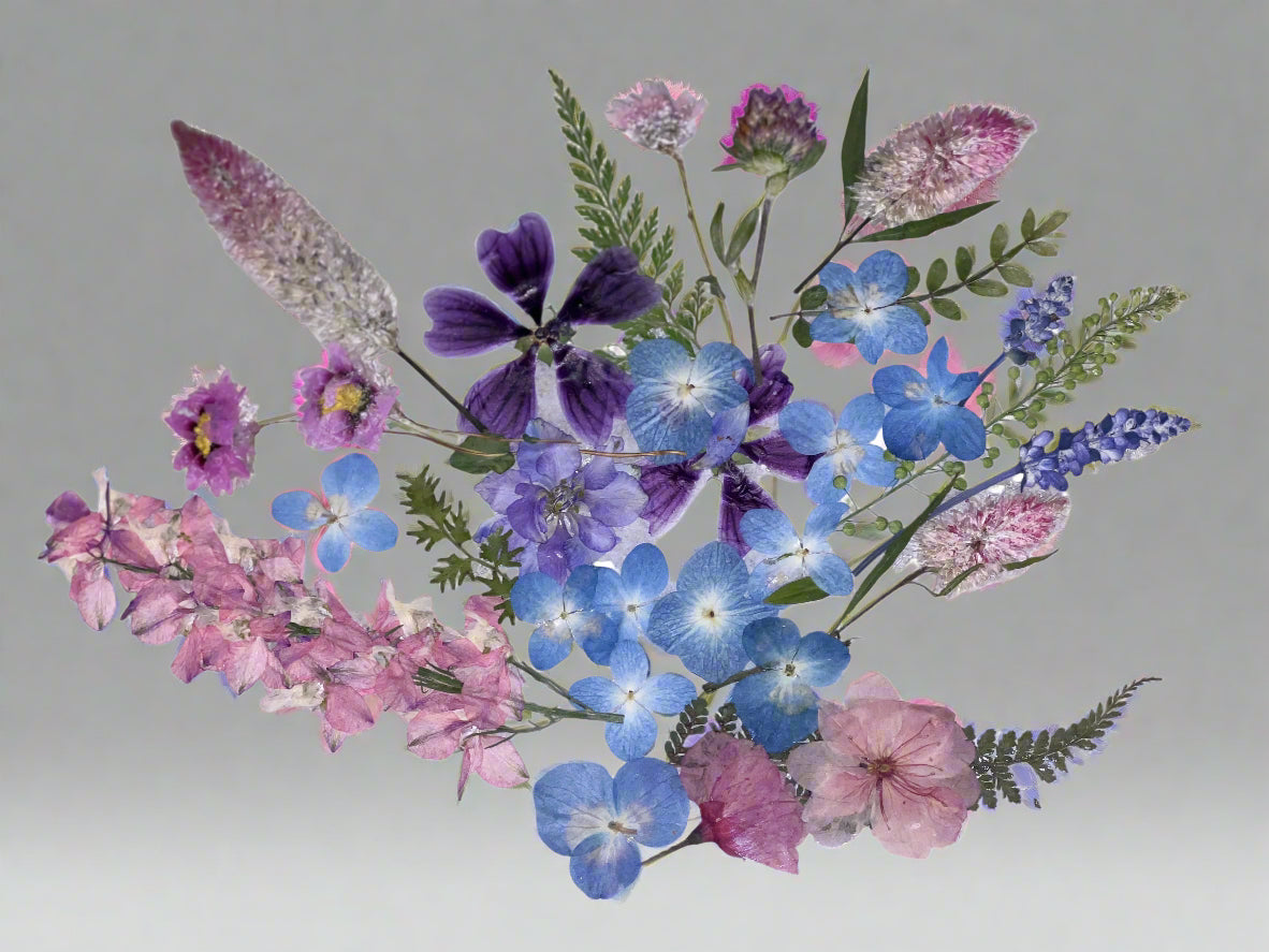 12" x 12" Floating Pressed Florals- Acrylic Panel Display