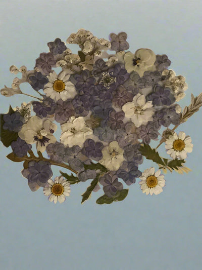 12" x 12" Floating Pressed Florals- Acrylic Panel Display