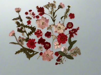 12" x 12" Floating Pressed Florals- Acrylic Panel Display
