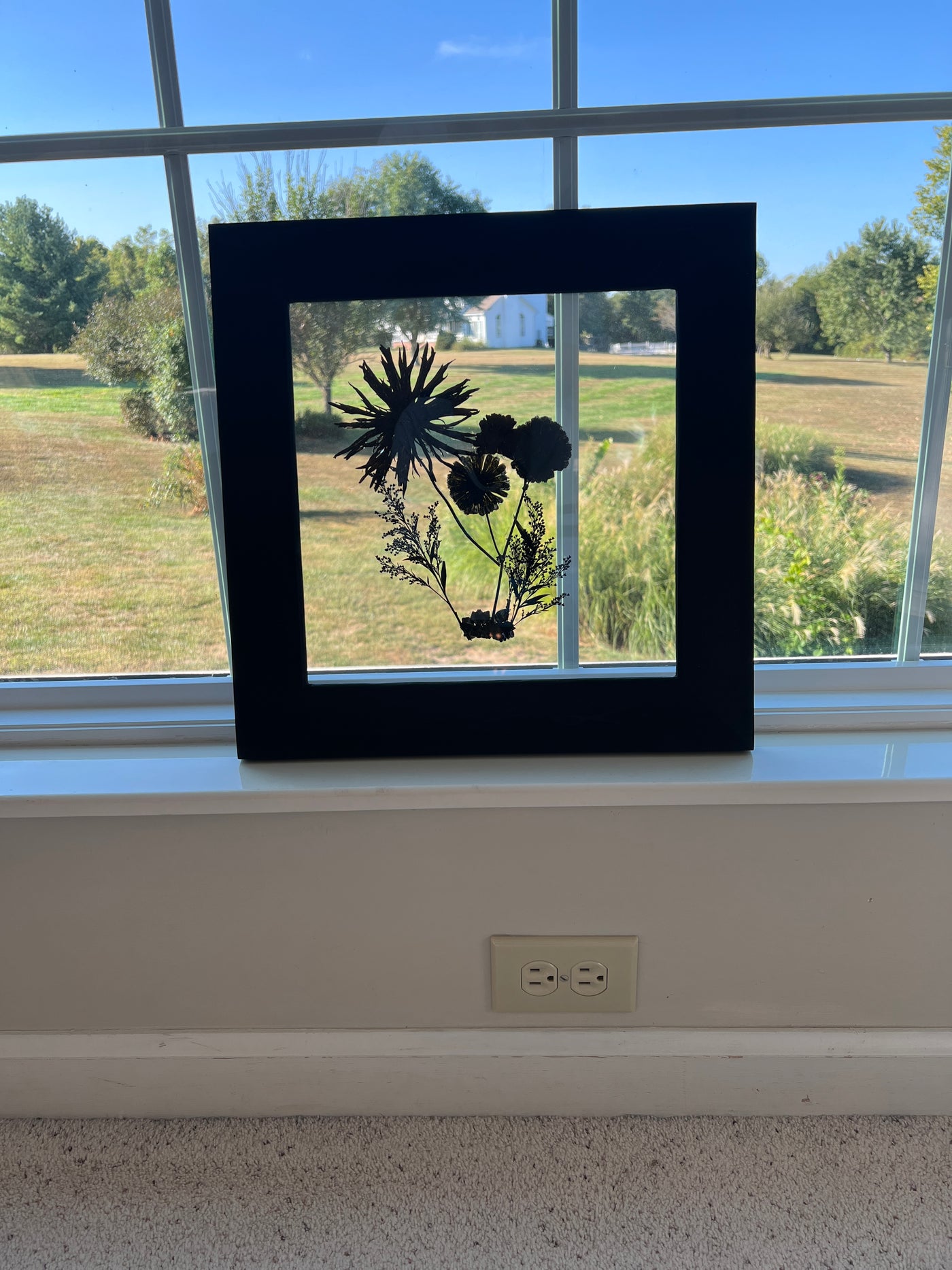 12"x 12" Floating Florals in Pine Frame - Stained Finish w/ Annie Sloan Wax