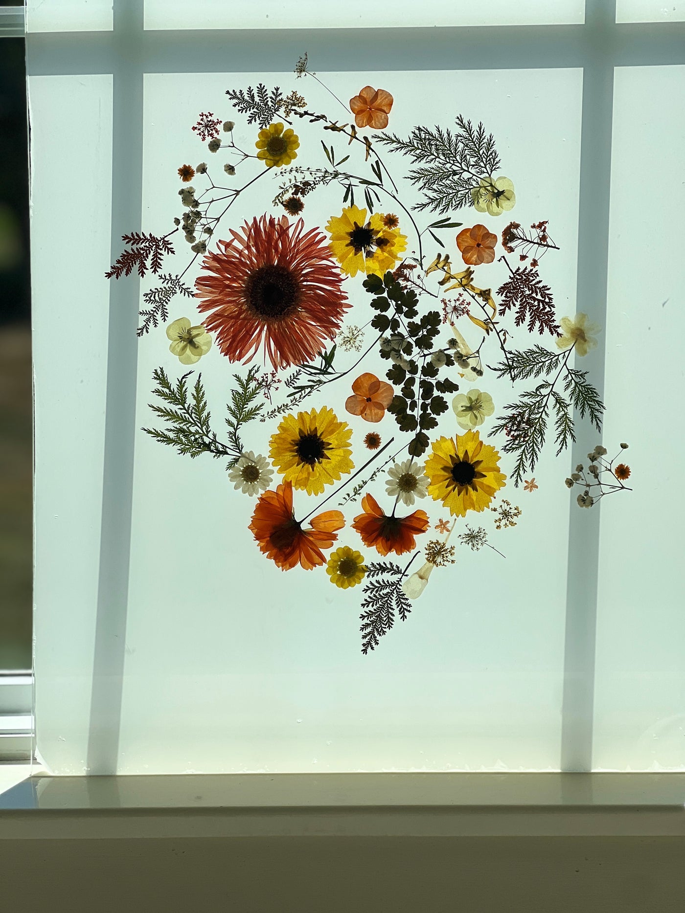 16" x 20" Floating Florals - In Between Frameless Acrylic Panes