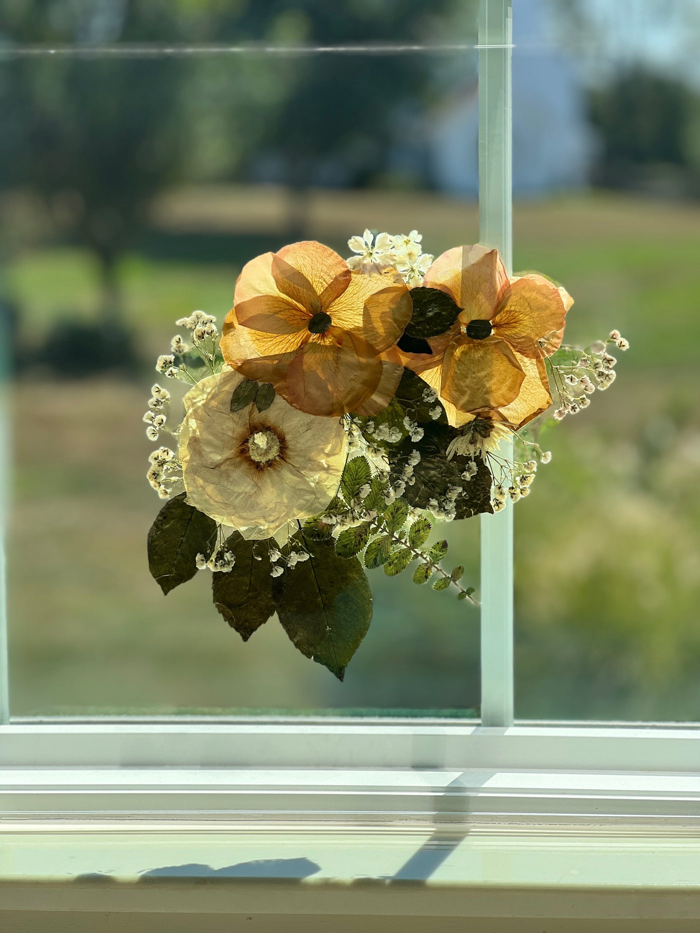 16" x 20" Floating Florals - In Between Frameless Acrylic Panes