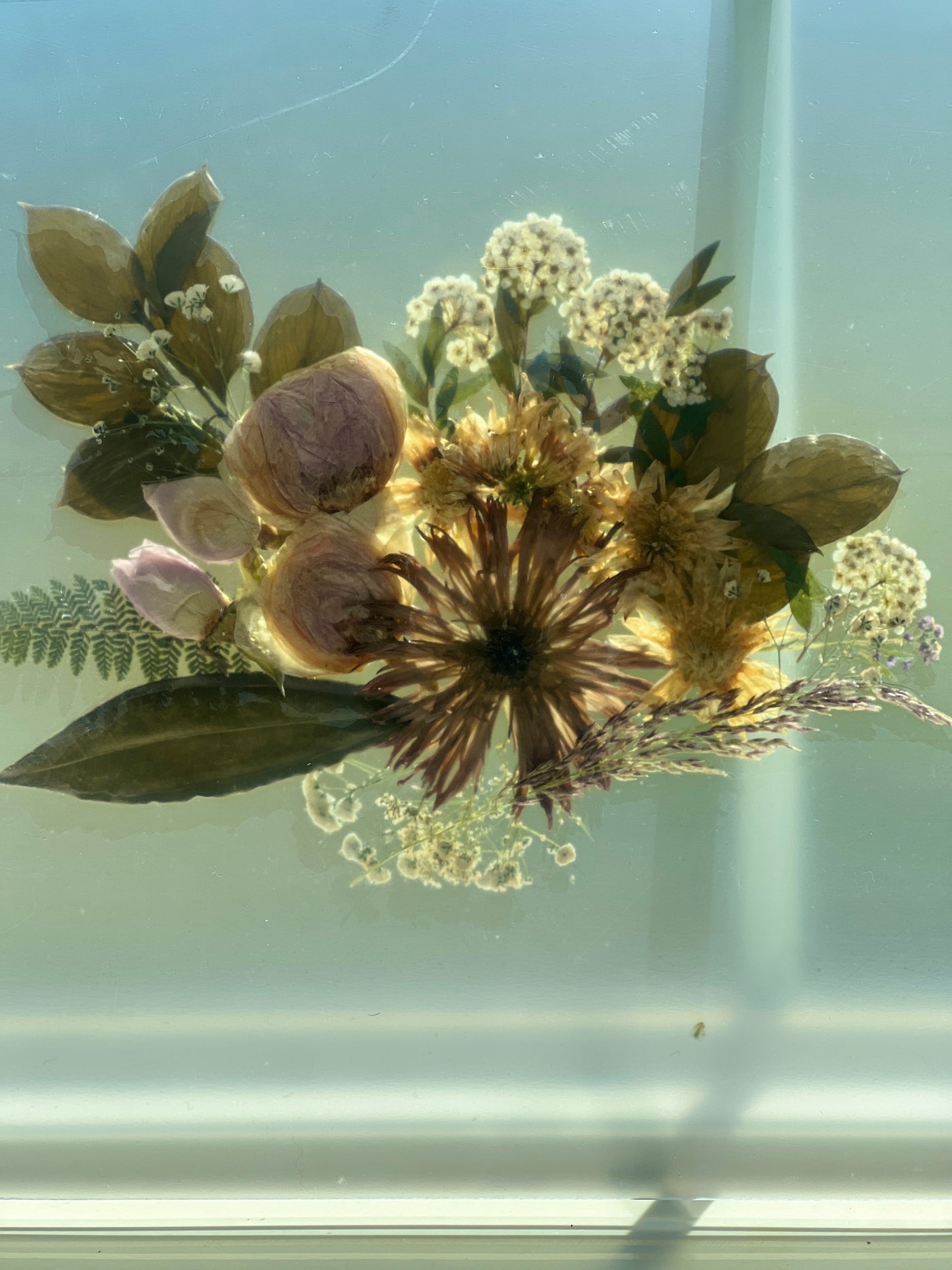 16" x 20" Floating Florals - In Between Frameless Acrylic Panes
