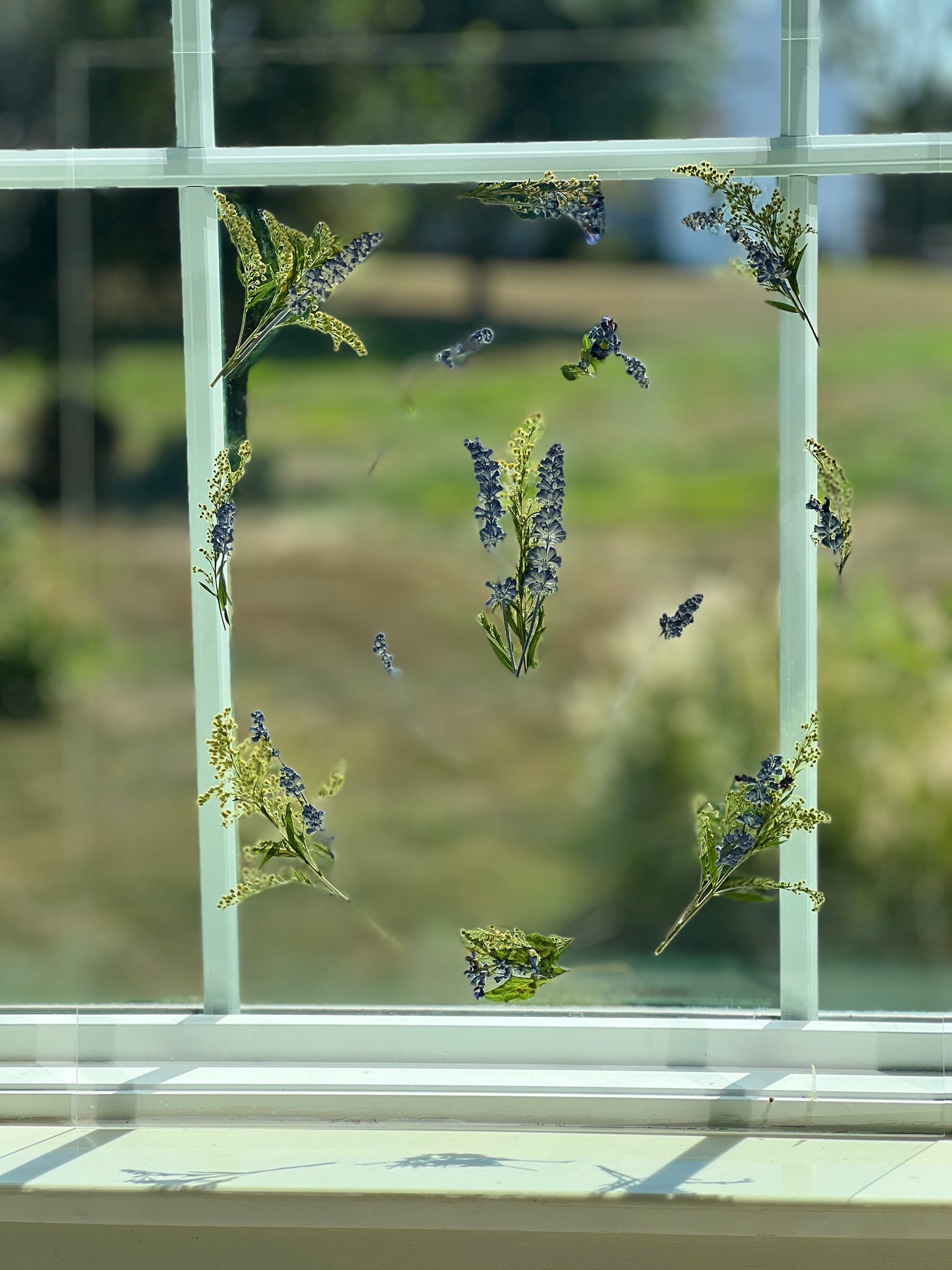 16" x 20" Floating Florals - In Between Frameless Acrylic Panes