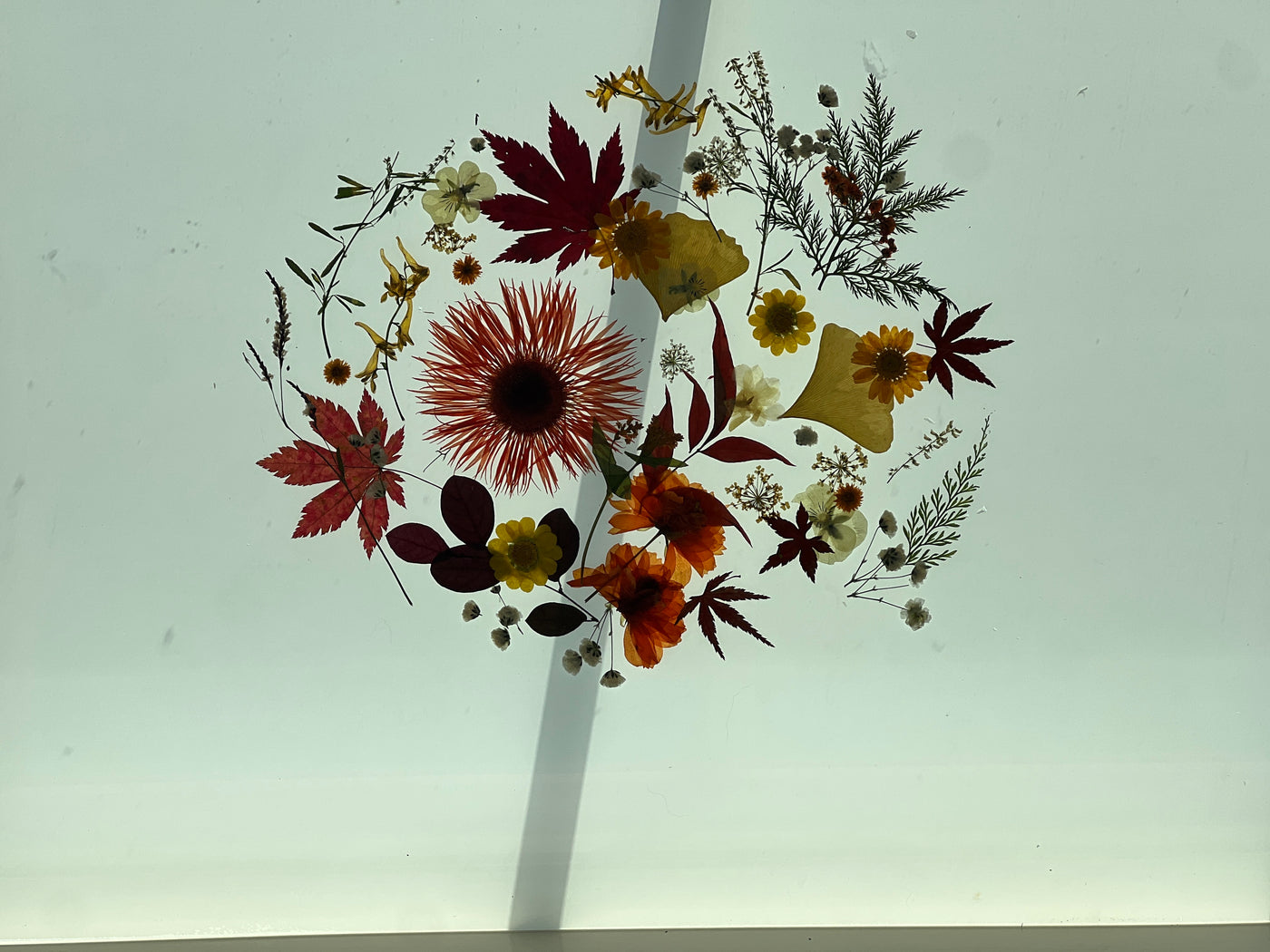 16" x 20" Floating Florals - In Between Frameless Acrylic Panes