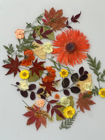 16" x 20" Floating Florals - In Between Frameless Acrylic Panes