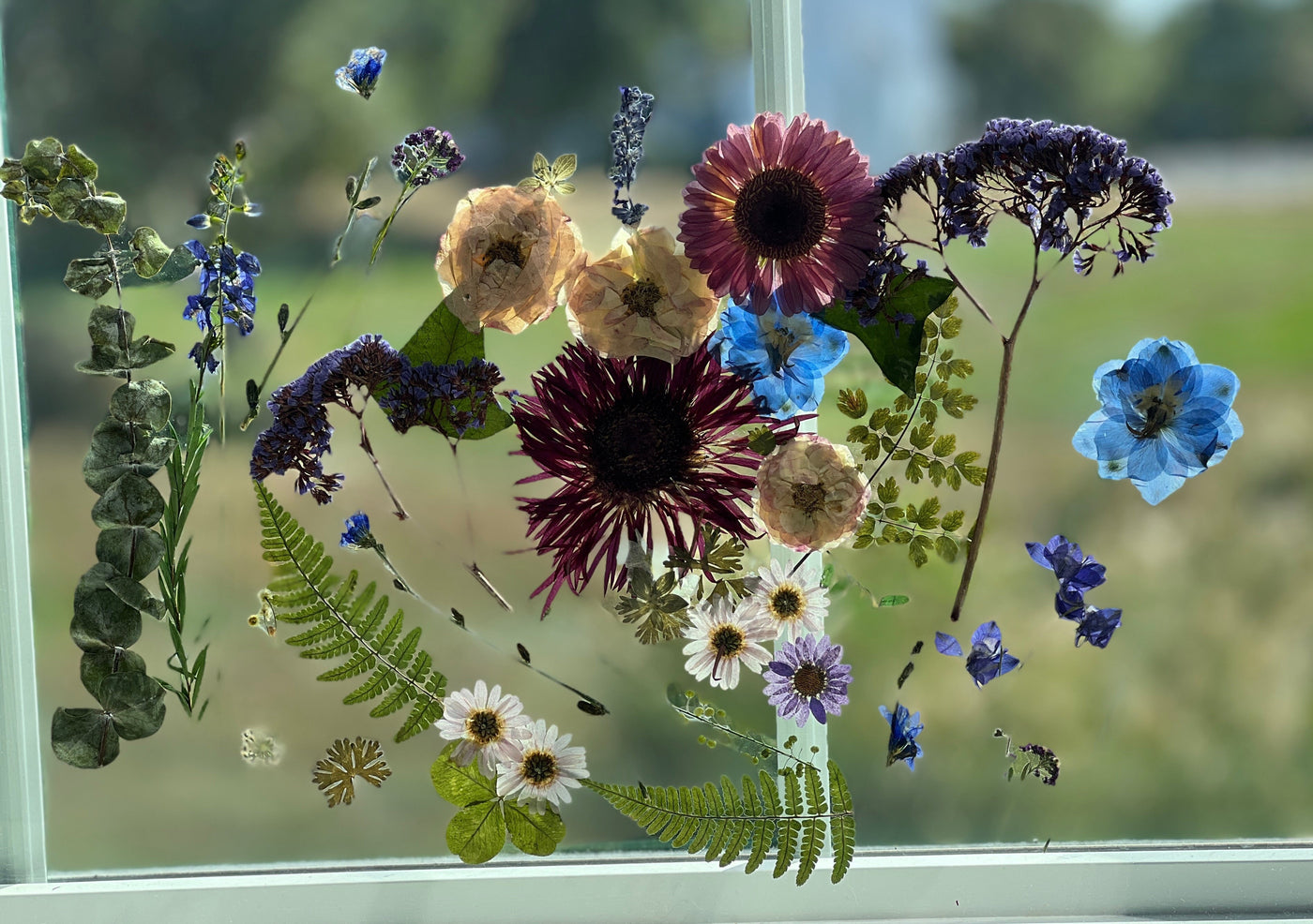 16" x 20" Floating Florals - In Between Frameless Acrylic Panes