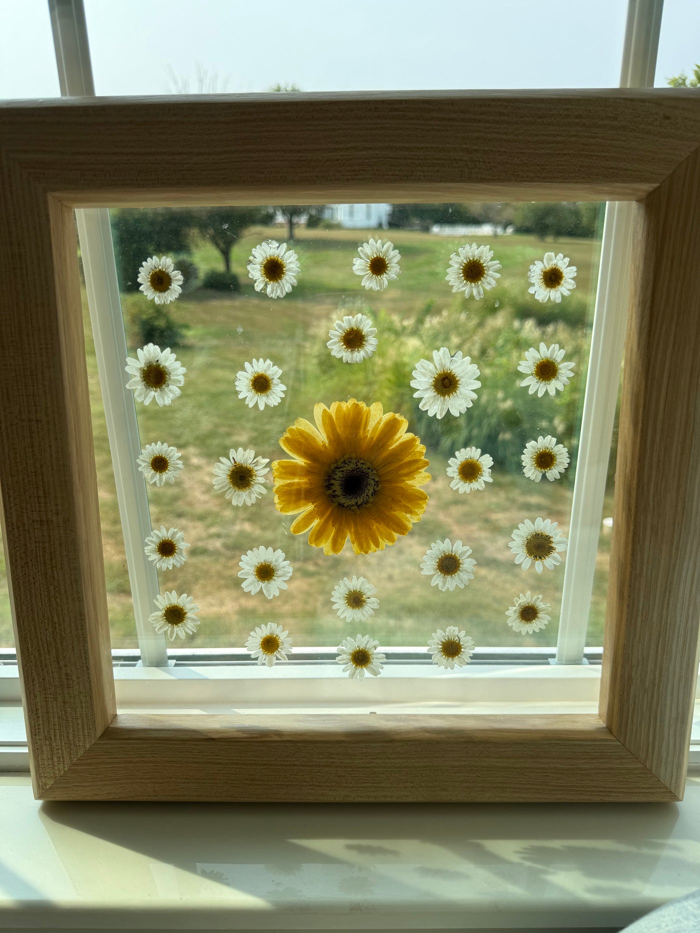 12" x 12" Floating Florals in Custom Made Hickory Frame